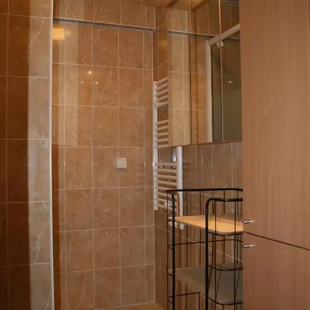 De Strandwandeling 0203 Met Frontaal Zeezicht *