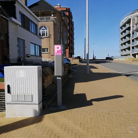 De Strandwandeling 0203 Met Frontaal Zeezicht *