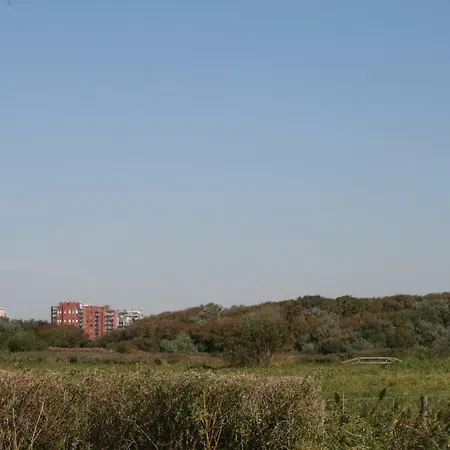 De Strandwandeling 0203 Met Frontaal Zeezicht * Oostende