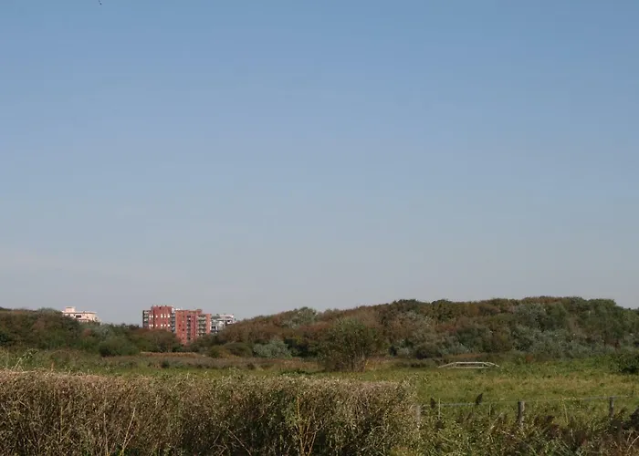 Met Zeezicht Max 6 P * Ostende